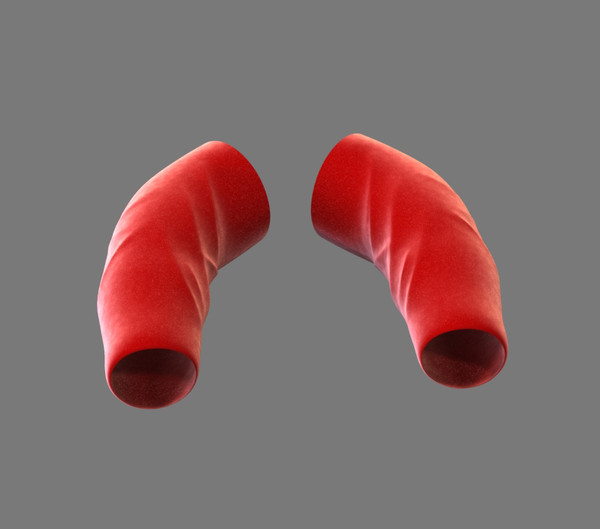 3d max cloth - Arm by dentonvanzan