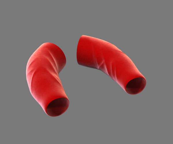 3d max cloth - Arm by dentonvanzan