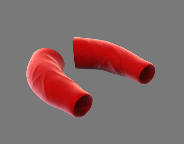 3d max cloth - Arm by dentonvanzan