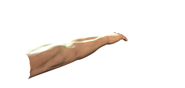 arm 3d model - Arm Model by Schloder87