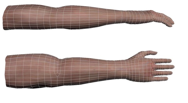 arm 3d model - Arm Model by Schloder87