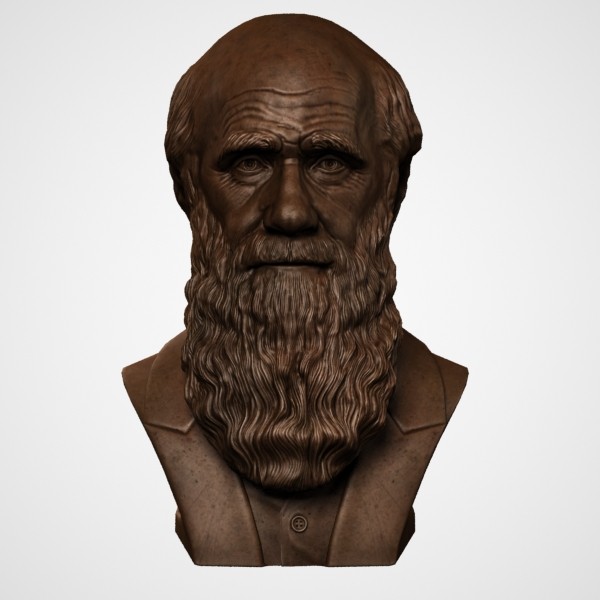 3ds max decorative bust darwin - Darwin Bust by clay master