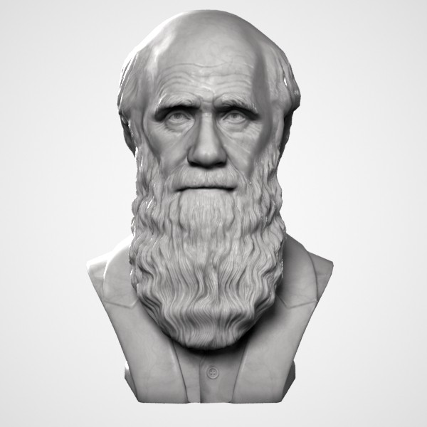 3ds max decorative bust darwin - Darwin Bust by clay master