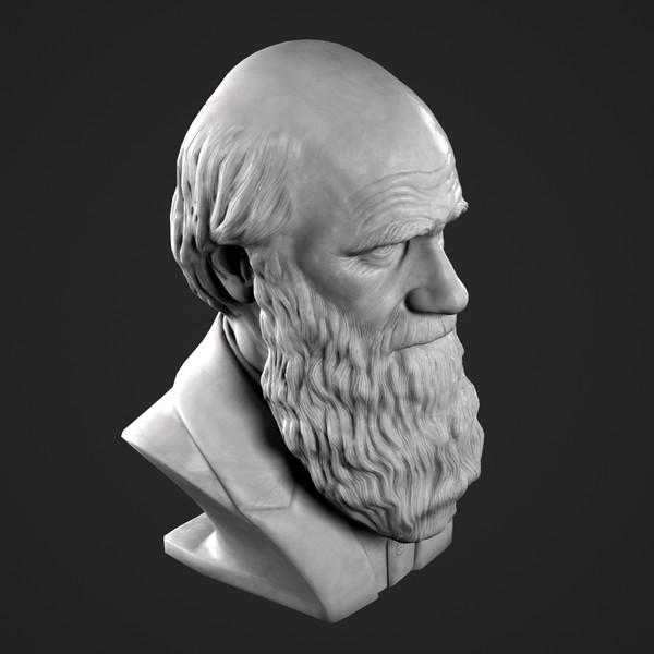 3ds max decorative bust darwin - Darwin Bust by clay master