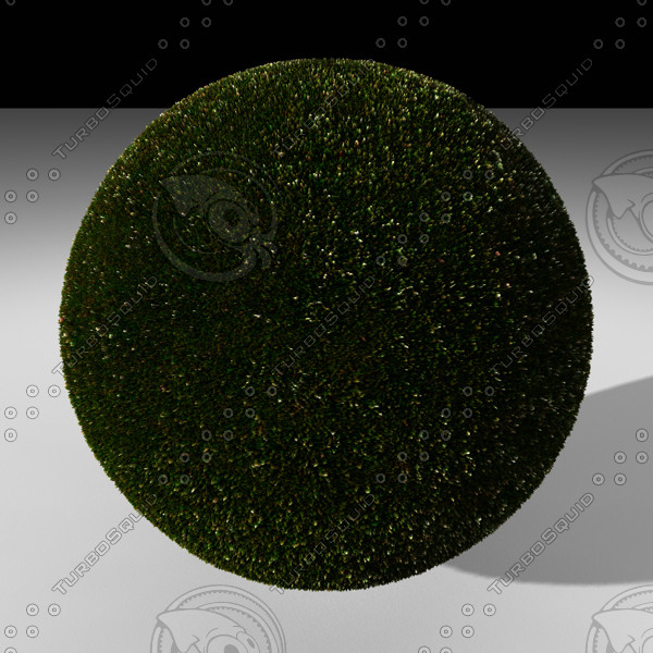 Grass A