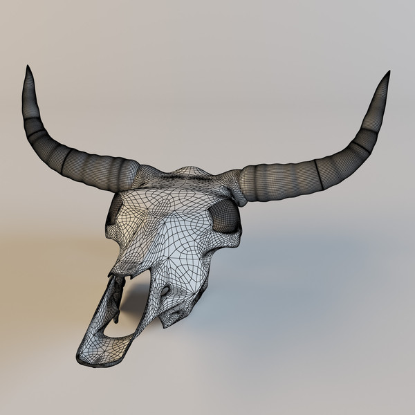 cow skull 3d model - Cow_skull by mifody