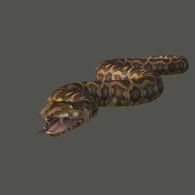 3d snakes model - Snakes Pack by NONECG
