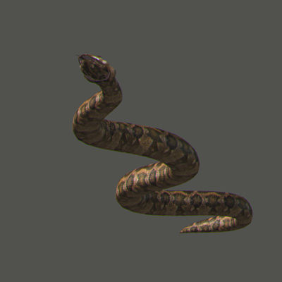 3d snakes model - Snakes Pack by NONECG