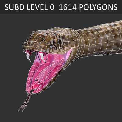 3d snakes model - Snakes Pack by NONECG