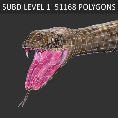 3d snakes model - Snakes Pack by NONECG