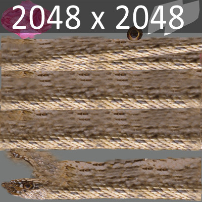 3d snakes model - Snakes Pack by NONECG