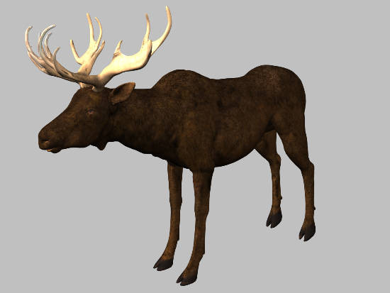 3d model animals 3d: - DOSCH 3D: Animals... by Dosch Design