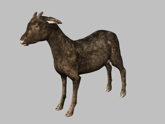 3d model animals 3d: - DOSCH 3D: Animals... by Dosch Design