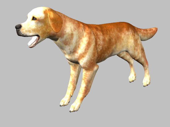 3d model animals 3d: - DOSCH 3D: Animals... by Dosch Design