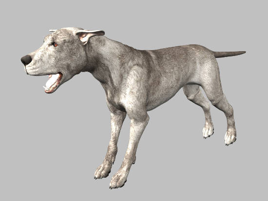 3d model animals 3d: - DOSCH 3D: Animals... by Dosch Design