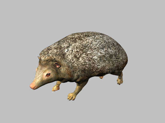 3d model animals 3d: - DOSCH 3D: Animals... by Dosch Design
