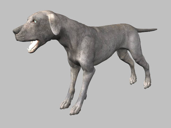 3d model animals 3d: - DOSCH 3D: Animals... by Dosch Design
