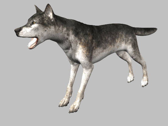 3d model animals 3d: - DOSCH 3D: Animals... by Dosch Design