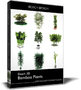 bamboo plants 3d: 3d 3ds