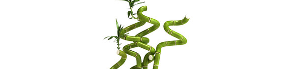 bamboo plants 3d: 3d 3ds - DOSCH 3D: Bamboo Plants by Dosch Design