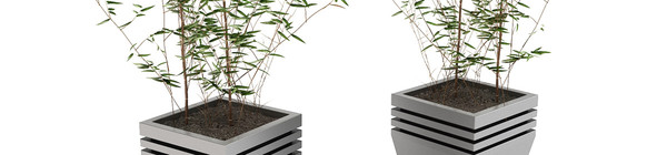 bamboo plants 3d: 3d 3ds - DOSCH 3D: Bamboo Plants by Dosch Design