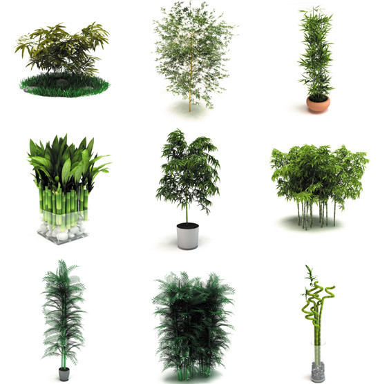 bamboo plants 3d: 3d 3ds - DOSCH 3D: Bamboo Plants by Dosch Design