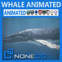 3d humpback whale model