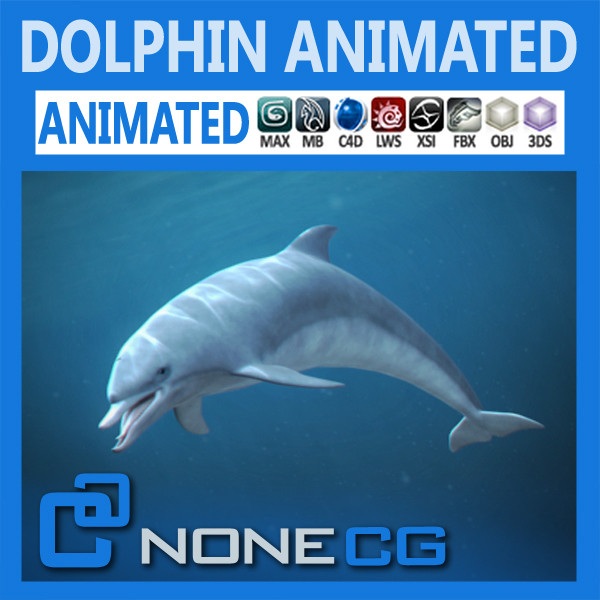 swim animation dolphin bottlenose 3d model - Animated Bottlenose Dolphin... by NONECG