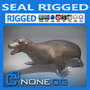 Rigged Seal