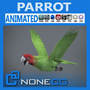 Animated Wild Parrot