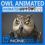 owl animal 3d model