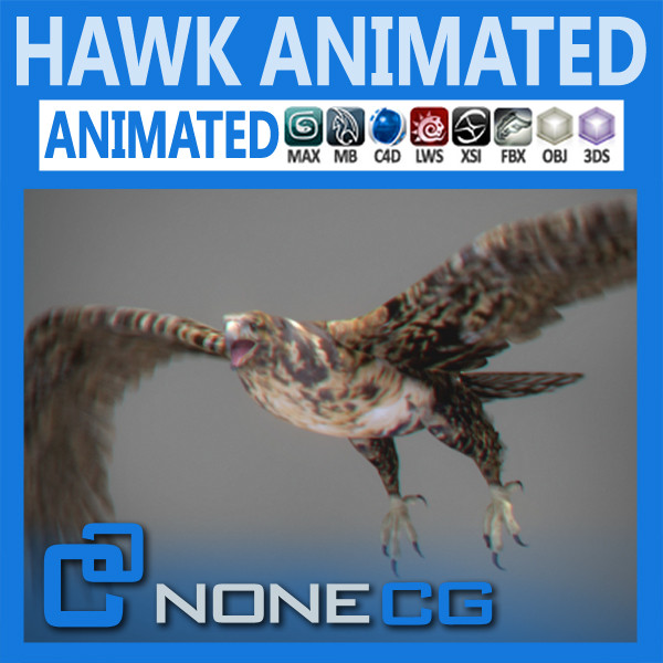 hawk eagle 3d obj - Animated Hawk... by NONECG