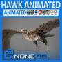 hawk eagle 3d obj