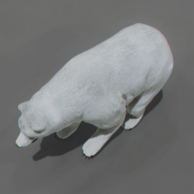 max polar bear sea life - Pack - Sea Life... by NONECG
