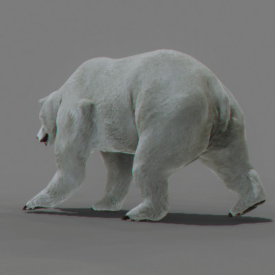 max polar bear sea life - Pack - Sea Life... by NONECG