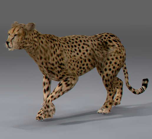 felines fur 3d model - Wild Felines Pack by NONECG