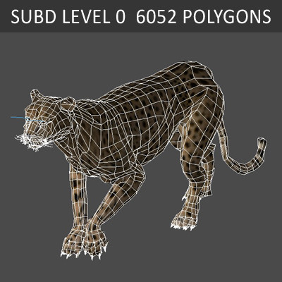 felines fur 3d model - Wild Felines Pack by NONECG
