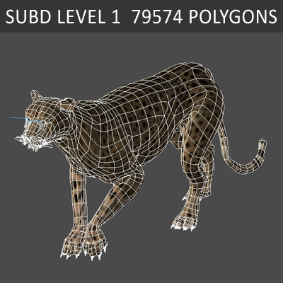 felines fur 3d model - Wild Felines Pack by NONECG