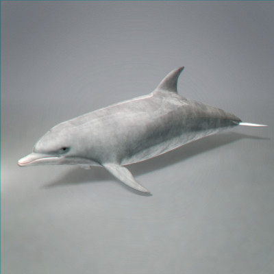 max polar bear sea life - Pack - Sea Life... by NONECG
