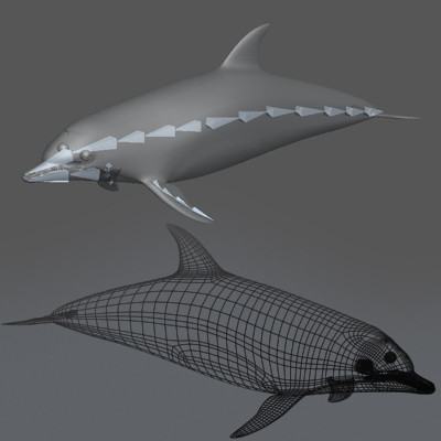 3ds max dolphin rigged lightwave - Rigged Marine Mammals Pack by NONECG