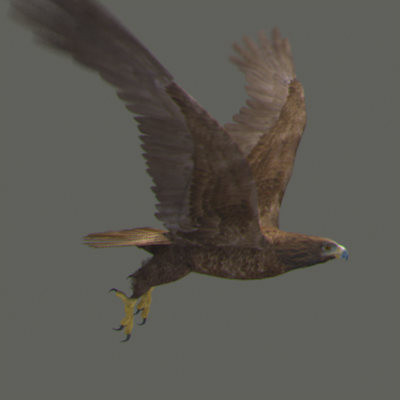 lightwave birds prey 3ds - Birds of Prey Animated Pack by NONECG