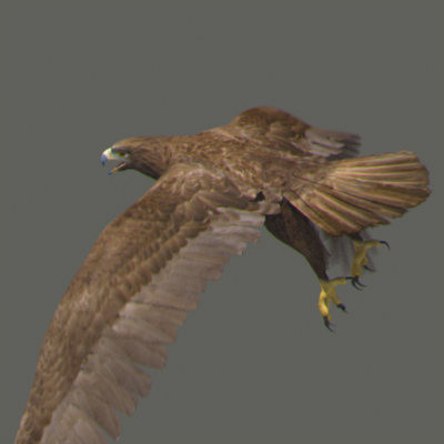 lightwave birds prey 3ds - Birds of Prey Animated Pack by NONECG