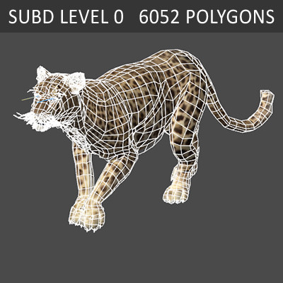felines fur 3d model - Wild Felines Pack by NONECG