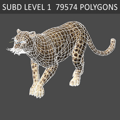 felines fur 3d model - Wild Felines Pack by NONECG
