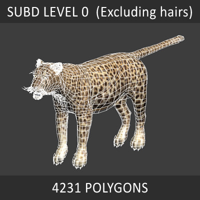 felines fur 3d model - Wild Felines Pack by NONECG