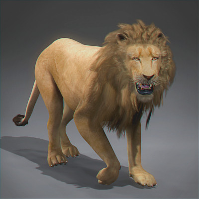 felines fur 3d model - Wild Felines Pack by NONECG