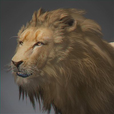 felines fur 3d model - Wild Felines Pack by NONECG