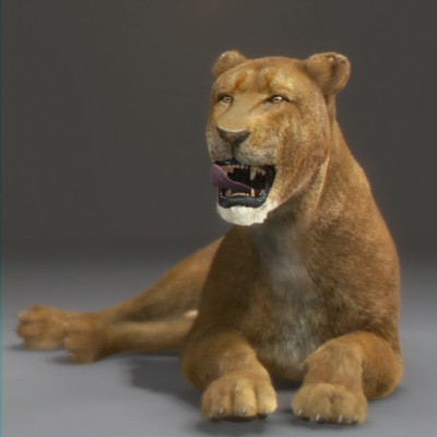 felines fur 3d model - Wild Felines Pack by NONECG