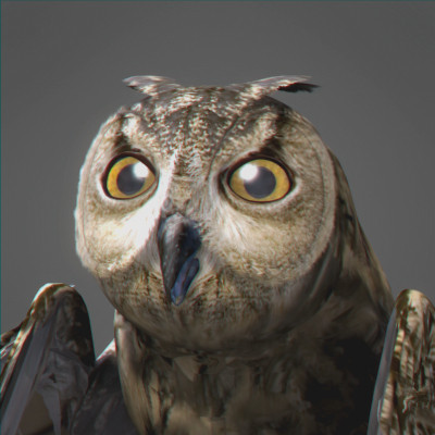 lightwave birds prey 3ds - Birds of Prey Animated Pack by NONECG