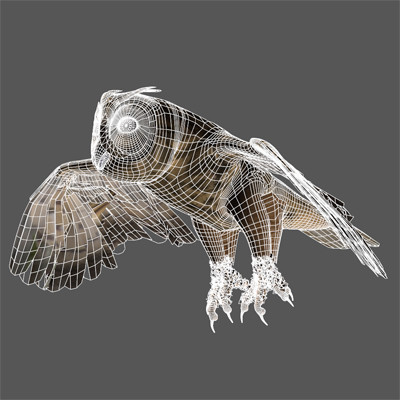 lightwave birds prey 3ds - Birds of Prey Animated Pack by NONECG